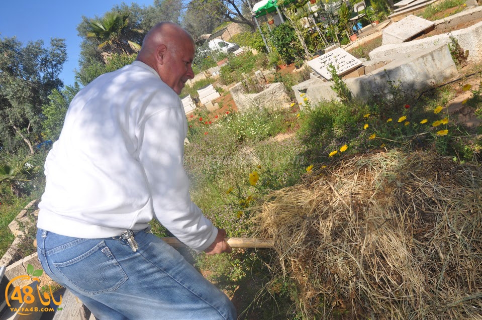 tasohamlalanjna (48).jpg